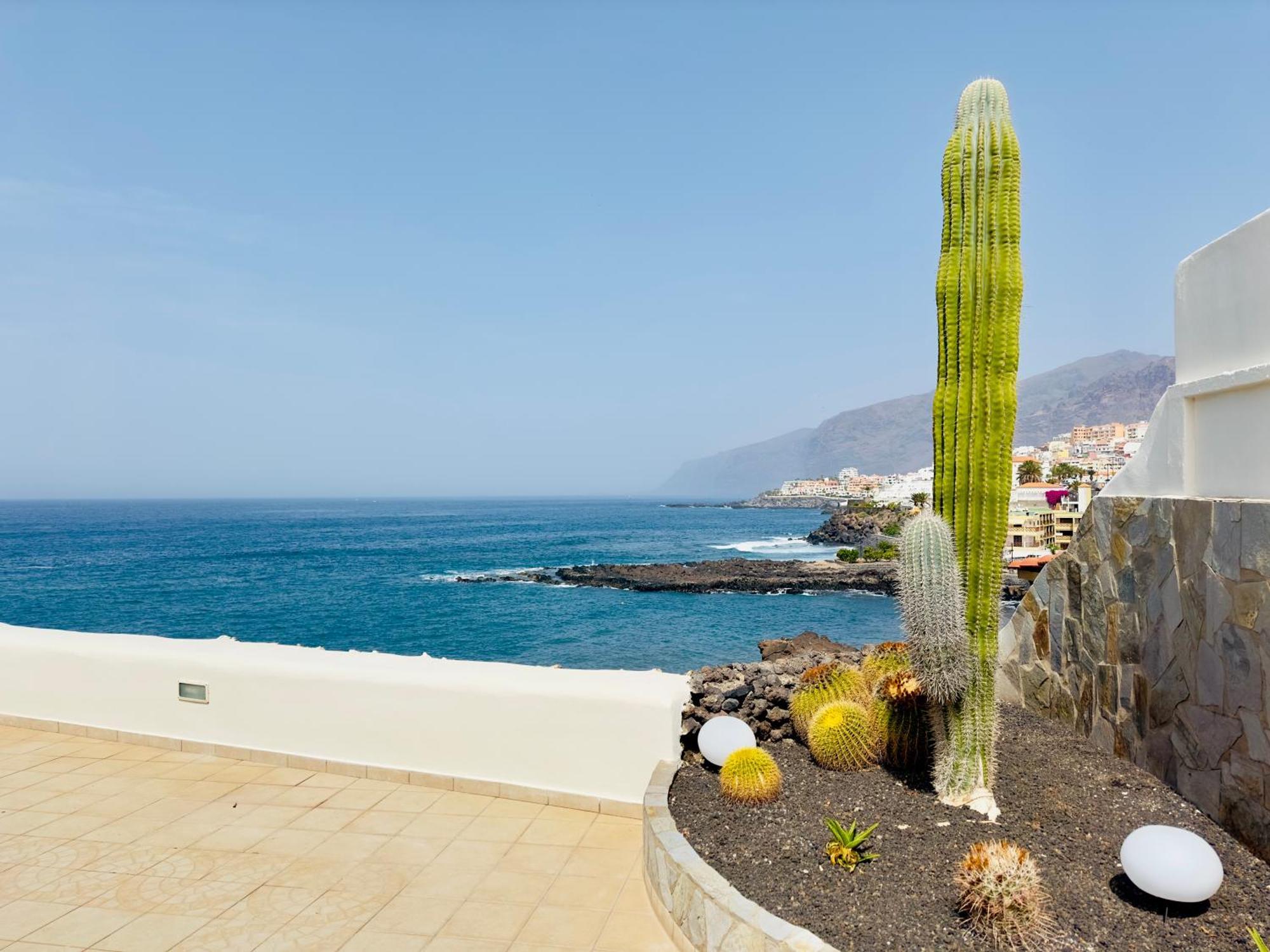 Beachfront Villa And Pool Puerto de Santiago  Bagian luar foto